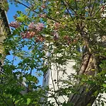 La Cote Villa *